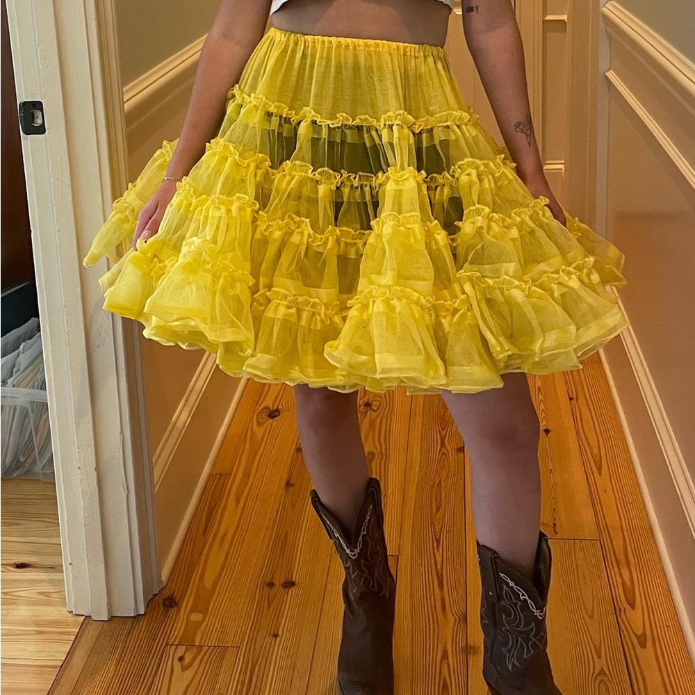 Vintage 1950s petticoat by label Ruthad of Detroit.